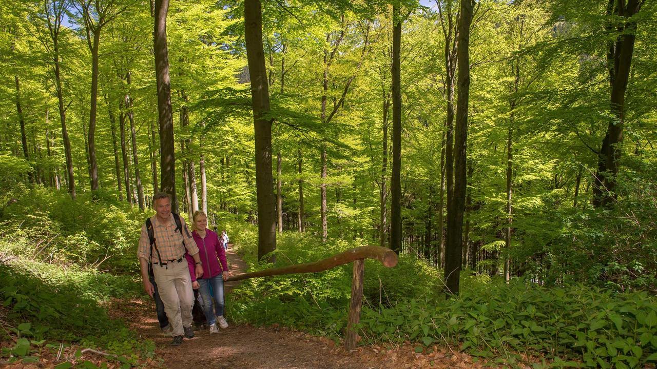 Landgasthof Seemer Eslohe Esterno foto